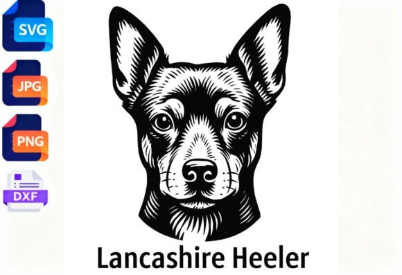 Lancashire Heeler Dog Portrait SVG JPG Review