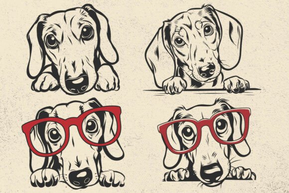 Mini Dachshund Embroidery Design Review